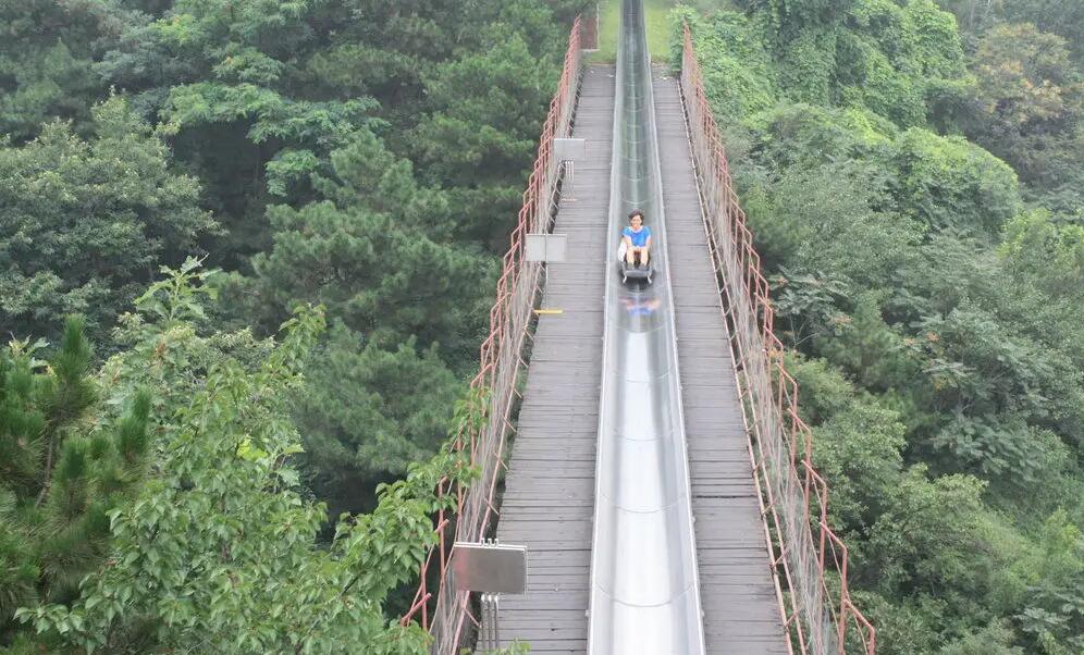 Toboggan Slide